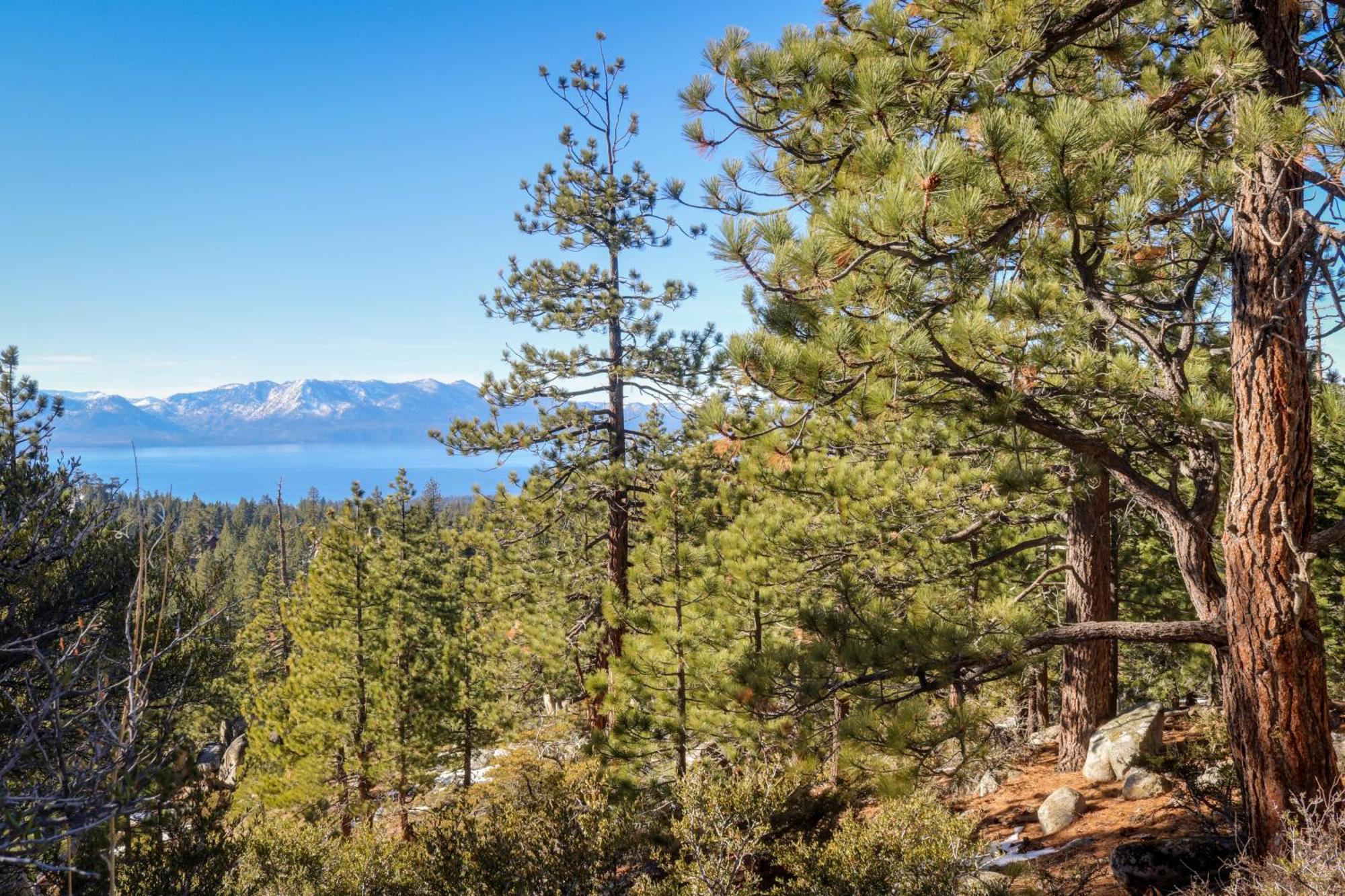 Pine Tree Place - Unit 5 Motel South Lake Tahoe Exterior photo